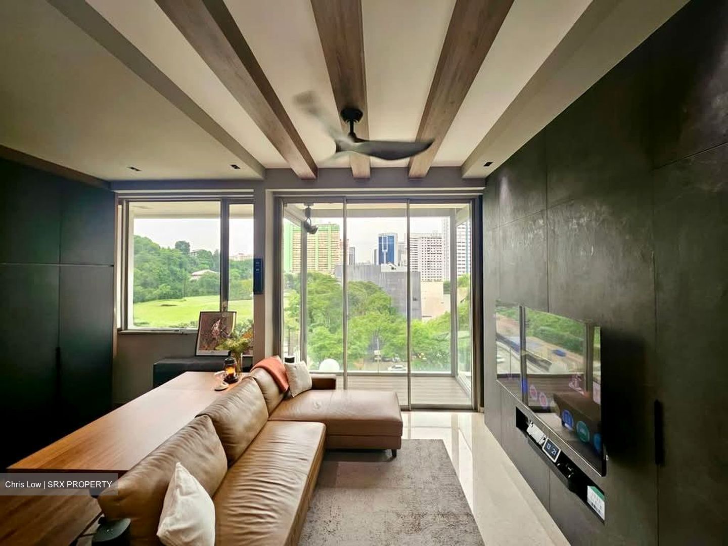 New Bridge Road (D2), Condominium #586790931